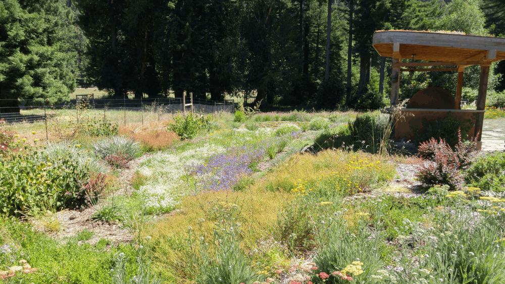 California Native Gardens