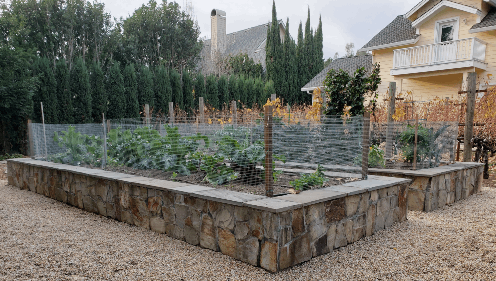 Raised Bed Gardens