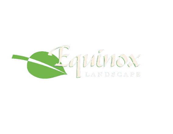 Equinox Landscape