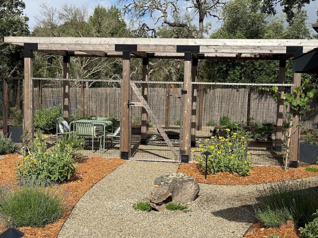 Haberberger backyard fence
