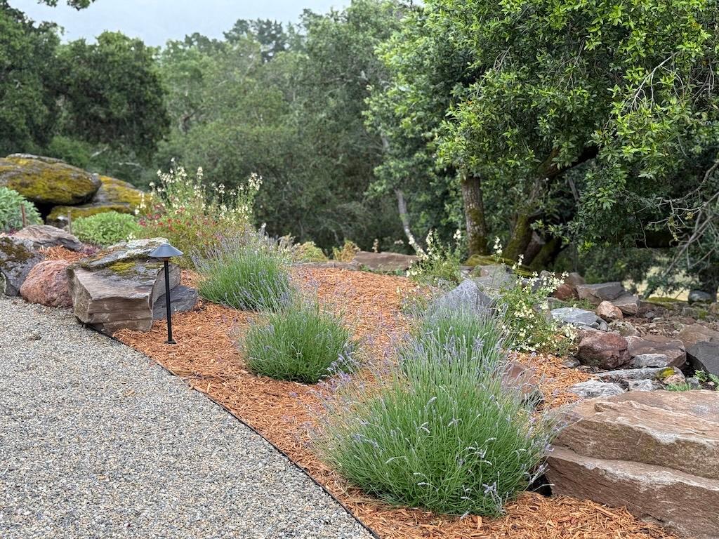 Keeping it Wild: An Earthy Yet Elegant Landscape Makeover