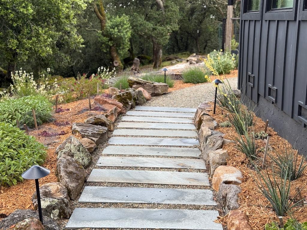 Haberberger cover shot