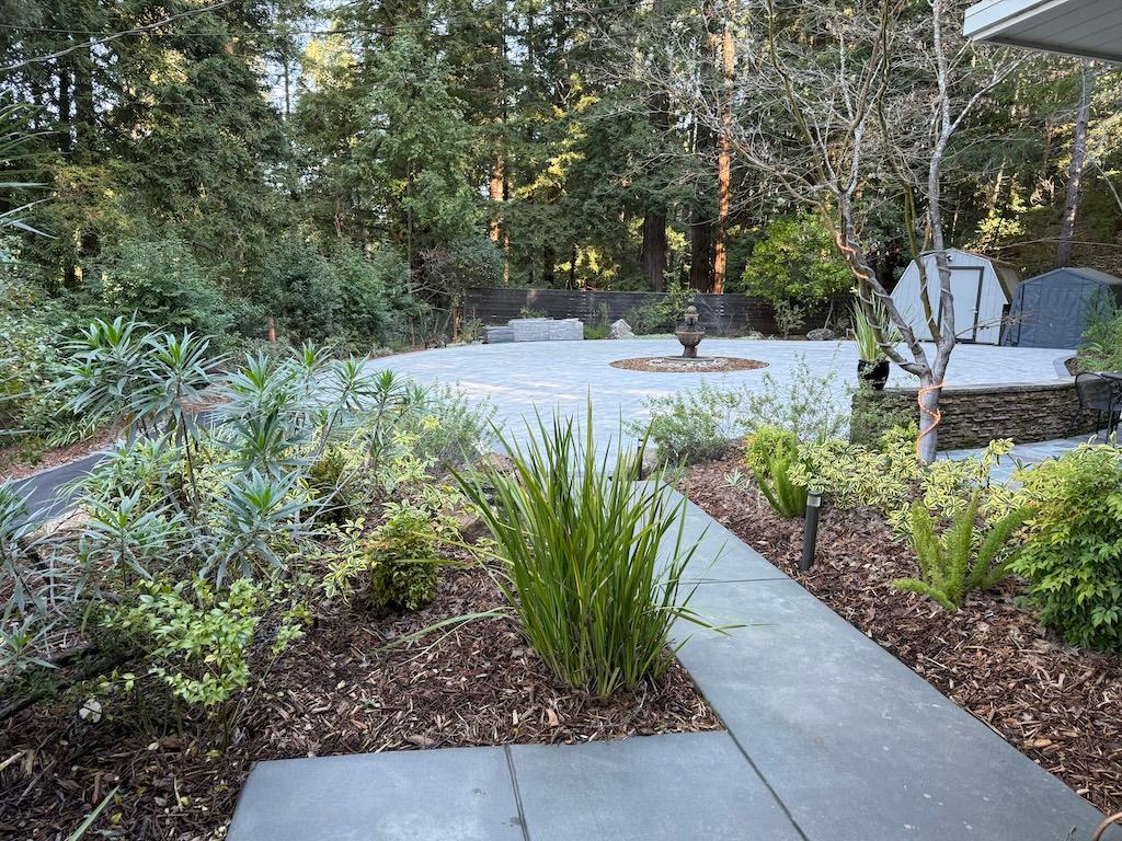 Revisiting a Redwood Paradise