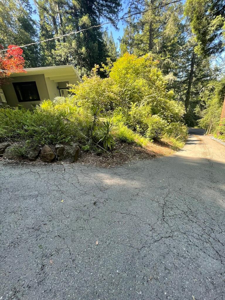 Soldano driveway before