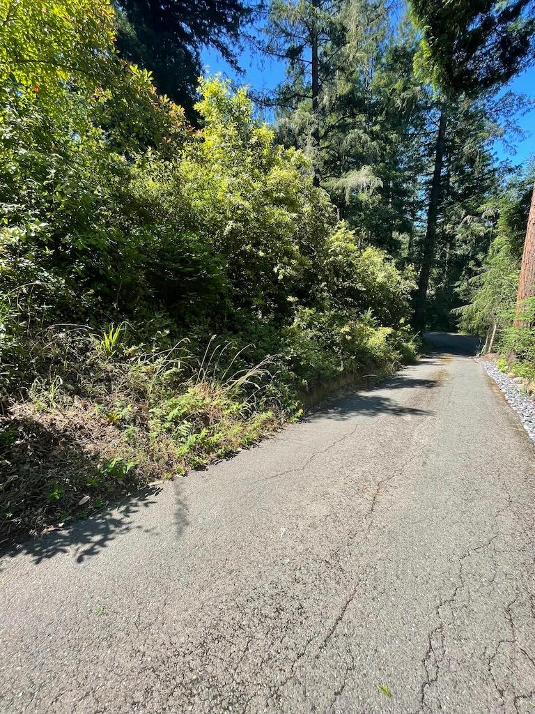 Soldano long driveway Before