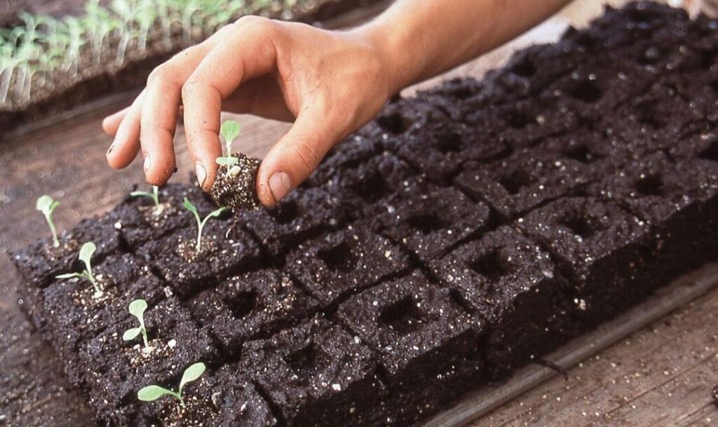 soil-blocks-for-soil-blockers