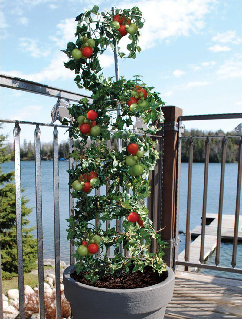 vertical-vegetable-garden