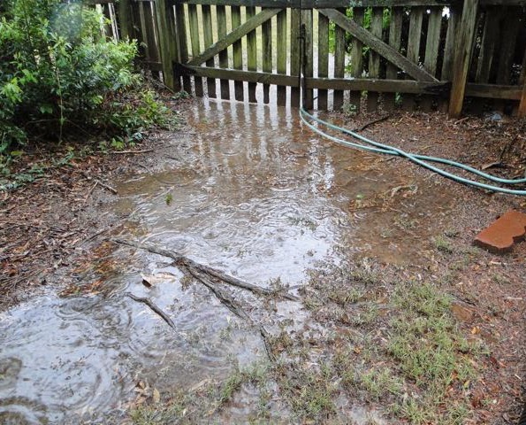 Backyard Flooding
