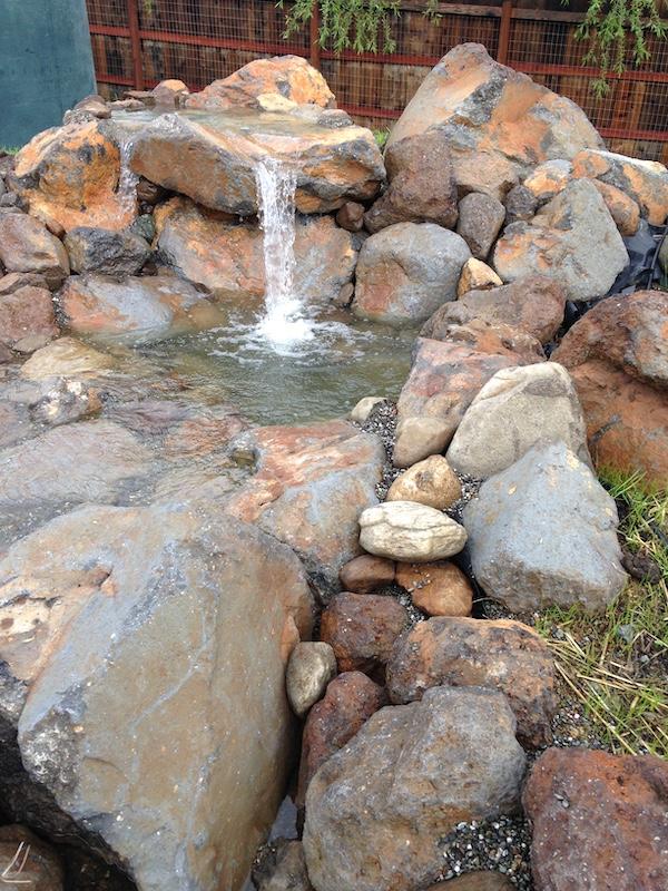 Sonoma waterfall closeup