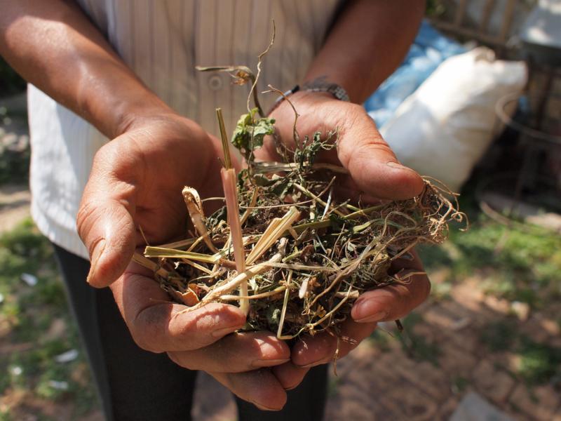 landscape installing